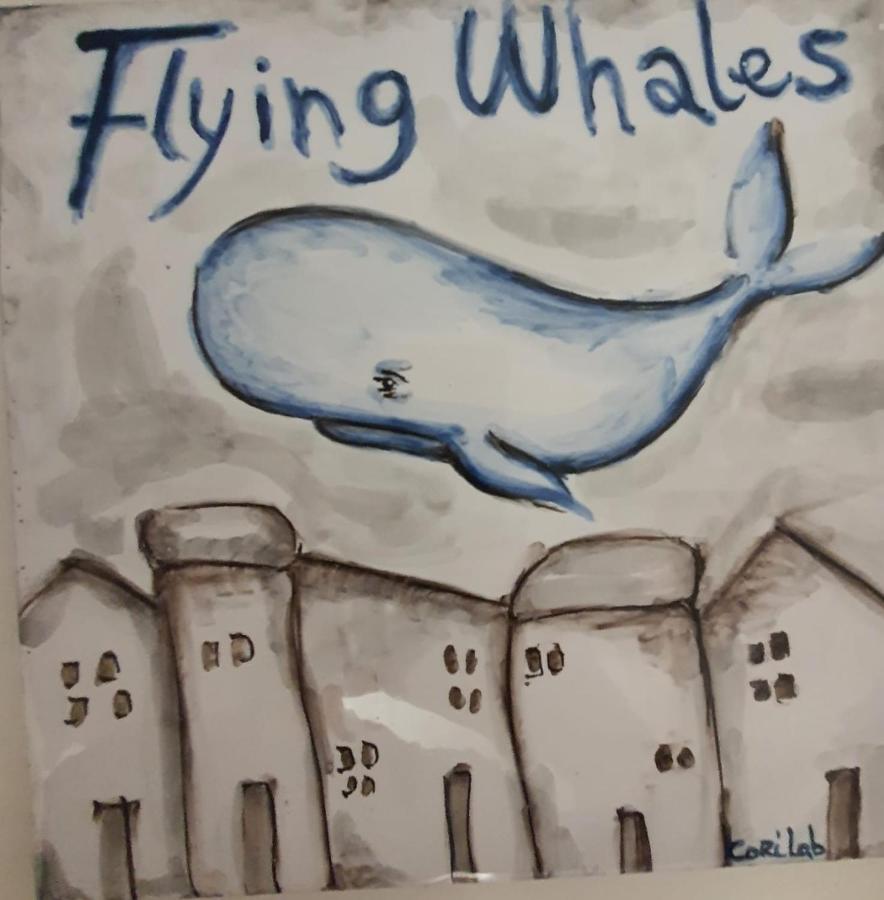 Flying Whales Apartment Syracuse Ngoại thất bức ảnh